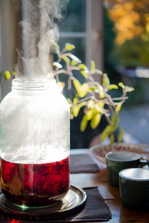 Fermentowana rubinowa herbata hibiskusowa