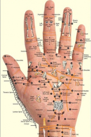 Mapa dłoni i twarzy
