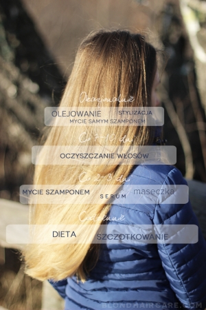 Piramida pielęgnacji włosów - grudzień 2015