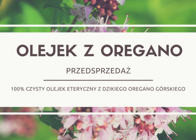 Olejek z dzikiego oregano: przedsprzedaż!