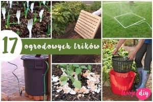 17 ogrodowych trików dla ogrodnika