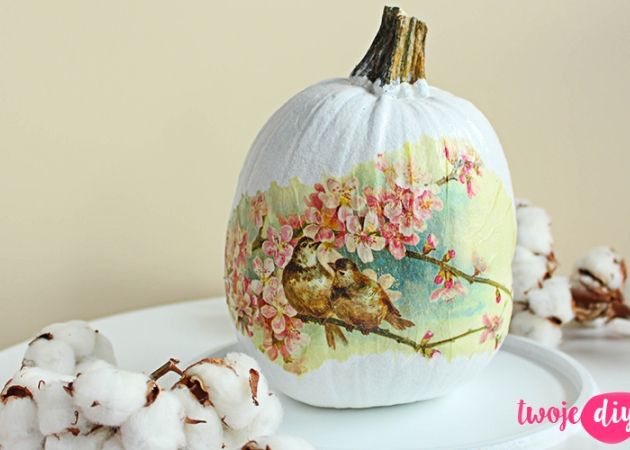 Dynia decoupage