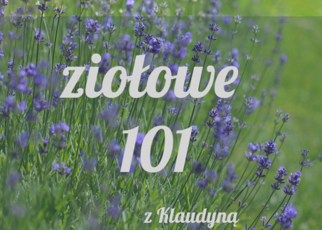 Ziołowe 101 – nowy cykl. Zbieram pomysły!