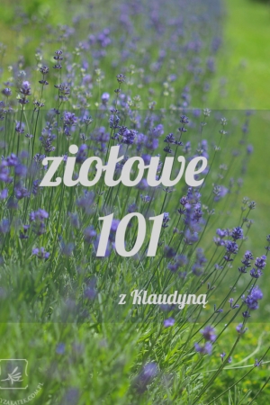 Ziołowe 101 – nowy cykl. Zbieram pomysły!