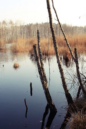 Mazowiecki Park Krajobrazowy cz. I – Wesoła